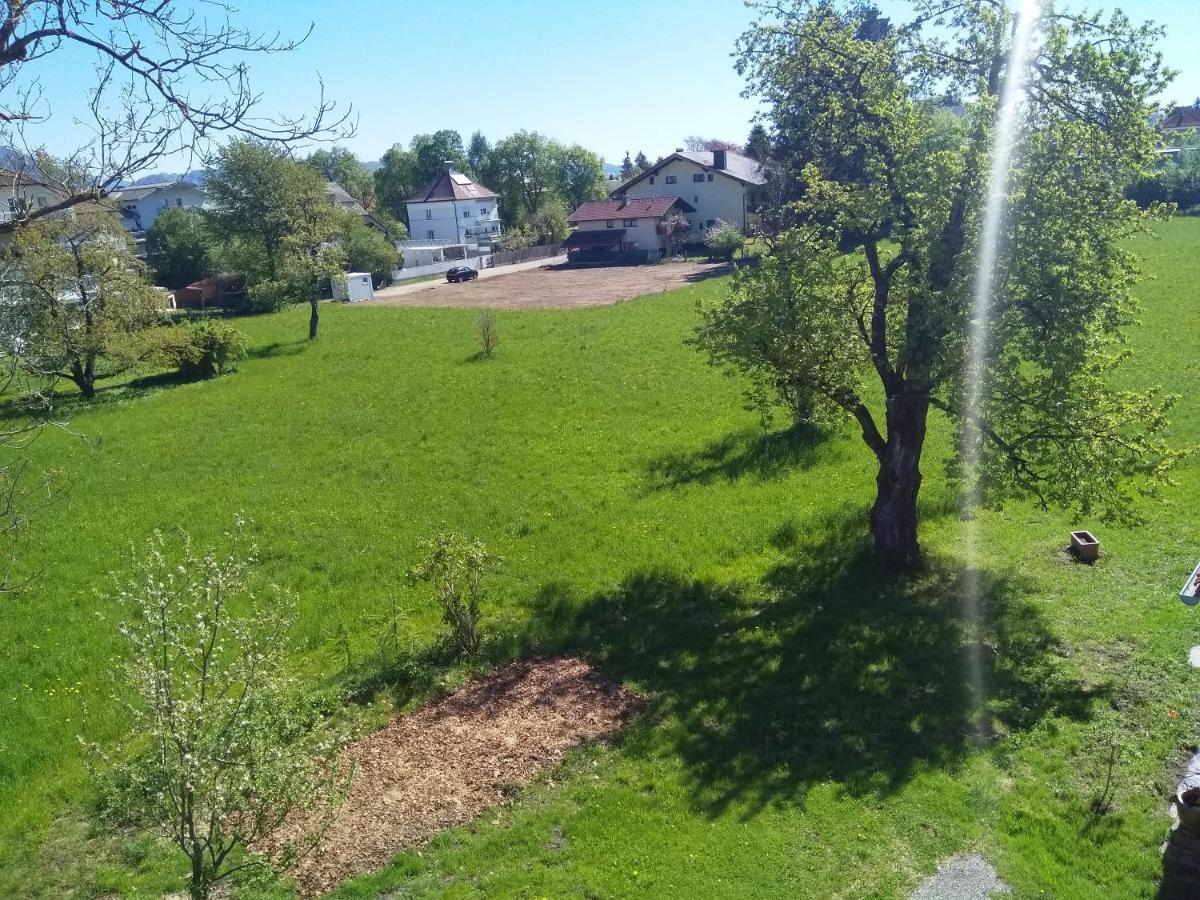 Ferienwohnung In Karnten Φίλλαχ Εξωτερικό φωτογραφία